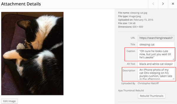 A Wodpress window showcasing the fields that enhance image optimisation